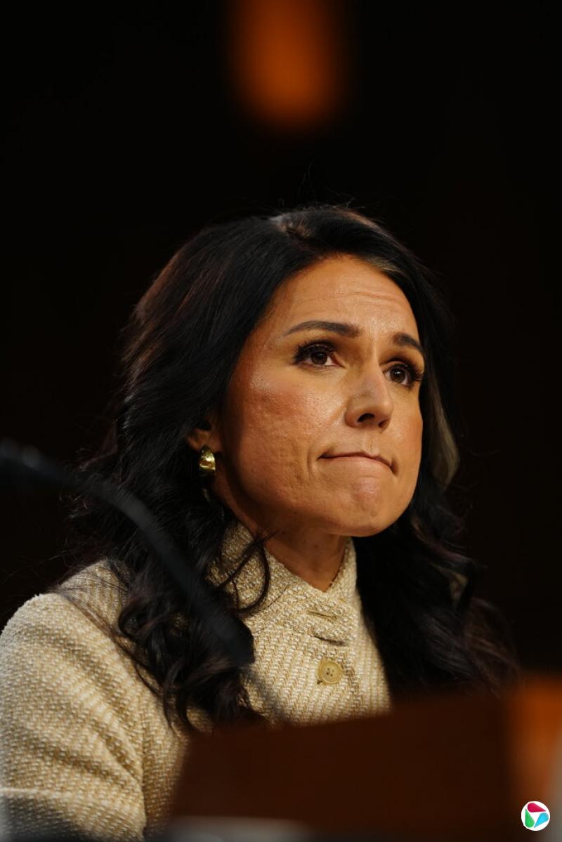 国家情报总监图尔西·加巴德在周三的参议院全球威胁听证会上。她表示,只有总统才有权决定什么构成“迫在眉睫的威胁”。