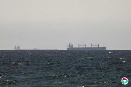 ���ʲ�������ľ�Ⱥ�Ͽͨ��ԭ��