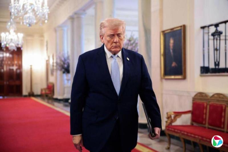 �����ۣ�����ľ�Ⱥ�Ͽ�ľ��������յ��Ի�