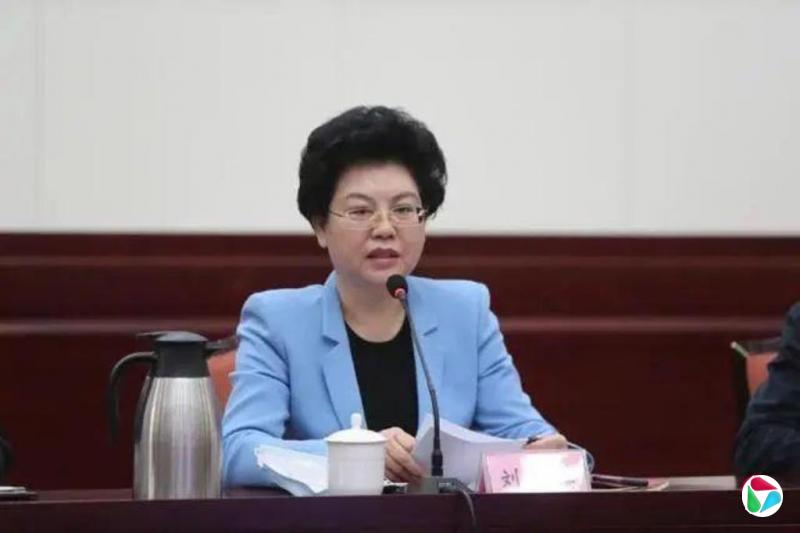 中国落马正部级女高官罕见被指“匿名诬告他人”