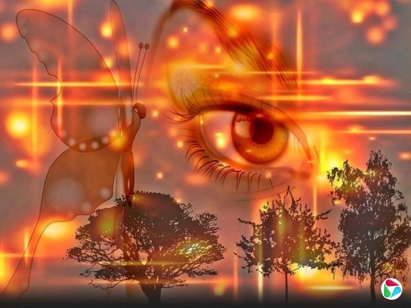 ���ɭ���ӡ��ϰ�Χ�ǡ���˼С�������뷢չ