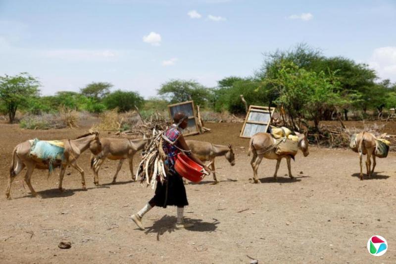 ��ΰ����ֹ���˿ʵ��˹�����