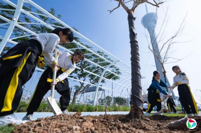 �۰ĸ�����ʩӦ��ѧУ������