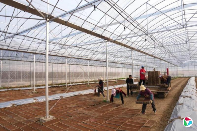 ũ�ʡ������š��������� ���йز��Ŵ��Υ�������������