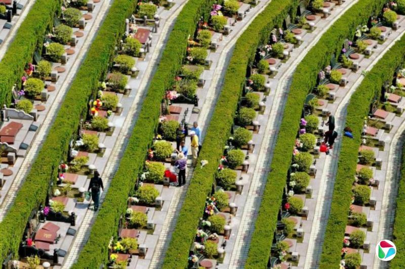 ������ѡ����ɫ��̼��ɨ��ʽ�й��˳�����