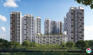 ���츻��ס������������˫��������