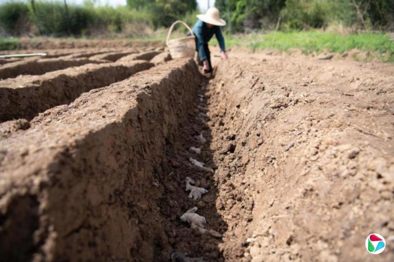 中国官方:严禁以涉农金融名义违规新增地方政府隐性债务