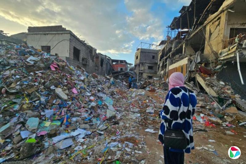 中国社科院报告:中企投资拉美中东等地区风险较高