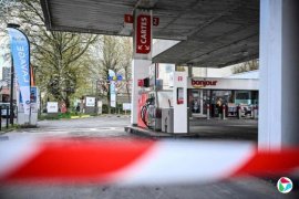 Ҷ���ɣ���ͨ����ľ�Ȼ��д�ж���Ե����