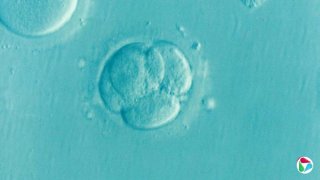 �Ծ����ſ�ѡ���Զ���ʹ������