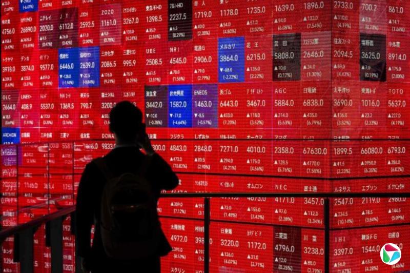 �����������е���ɫ