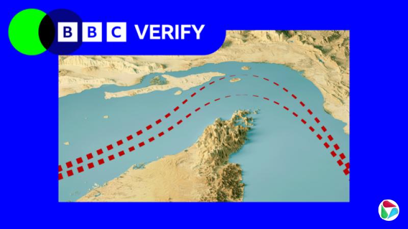 ����ľ�Ⱥ�Ͽ������Ӱ�񣬸������������Ա�ʾ������