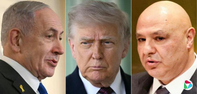 ���������л���������۴�ɡ���ʷ�Ժ�ƽЭ�顱