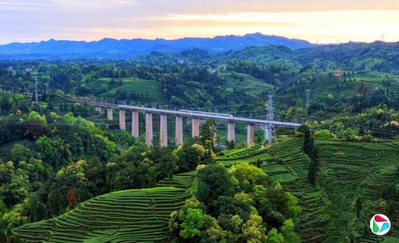 �й���һ���ڸ߷�ʱ�ν���������ҹ�����