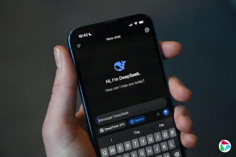 Ͷ���ˣ�DeepSeek���ʻ�Ϊ��Ȩ�������˲�