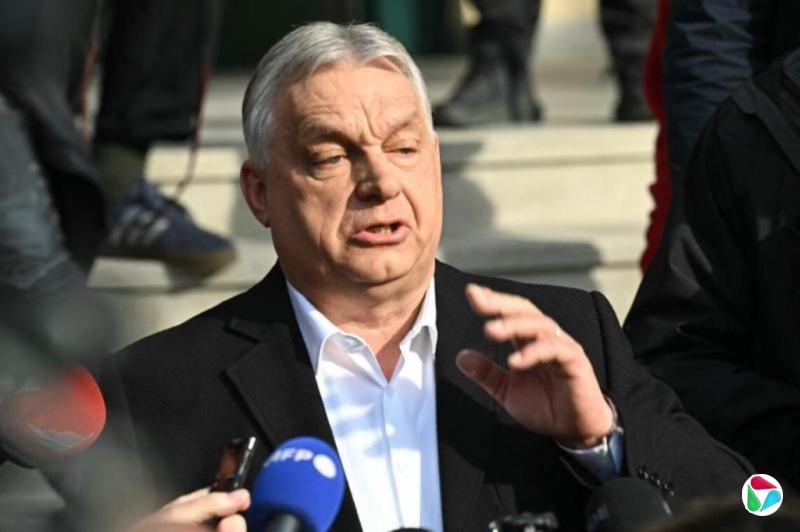 ��������ʶ��̬����ʲ����µ���������ѡ