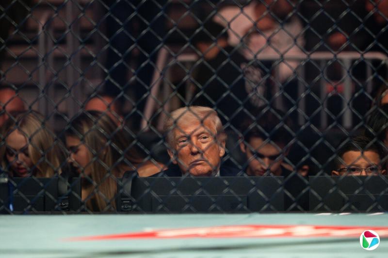 ���ܣ���������ͳ�������ܳ�ϯ��һ��UFC������