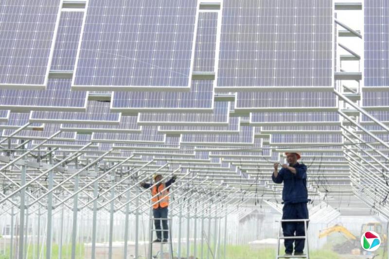 �й��ٷ����ƽ������ҵ���ھ�����