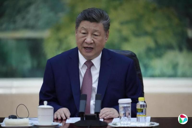 ϰ��ƽͬɳ������ͨ��������ľ�Ⱥ�ϿӦ��������ͨ��