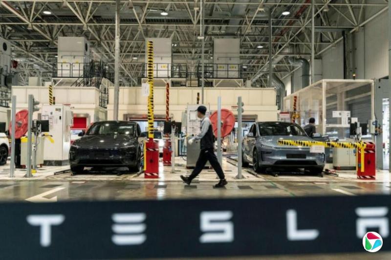 ��˹���й��������붹����ģ��