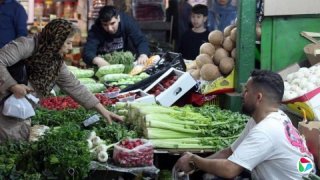 ս����Ӱ�µľ�ҵ��ͨ�ͺ�����   ���ʸ���ҵ���ģ��Ա