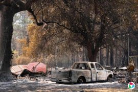 ������֯�������ŵ�������2026������Ϯ