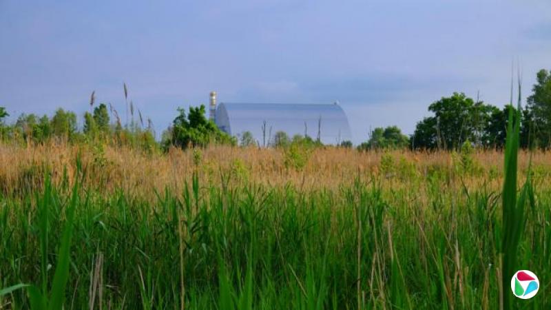 һƬ���ⰻȻ�Ĳݵأ���Ե��������ľ�������ɼ��ж�ŵ�����˵糧��һ���֣��ⲿ��������ɫ�İ�ȫΧ��ṹ