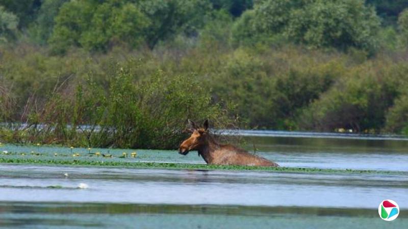 һֻ��¹�ں�����Ӿ�����ܻ�����ï�ܴ��̵�ֲ��