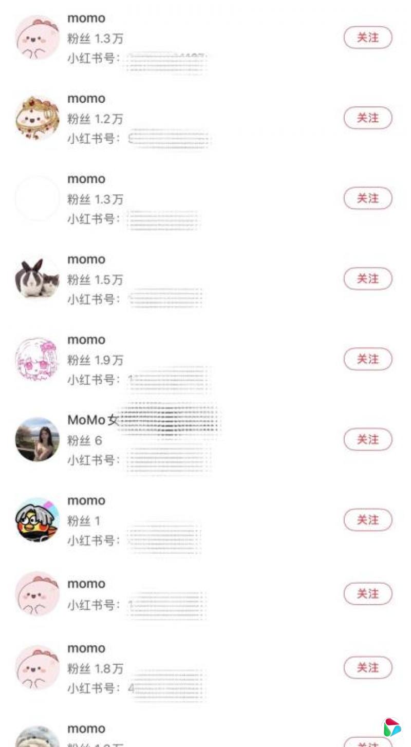 ׷�ٴ�ʼ����Ƴ�С���顰momo�������ǹ�������