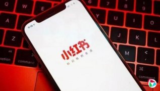 ׷�ٴ�ʼ����ƣ�С���顰momo�������ǹ�������