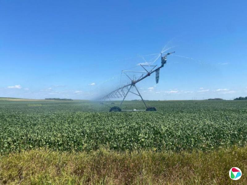 �й����ж��³������󶹳���Э����ϯ �ƶ���ó�ײ�ҵ����չ