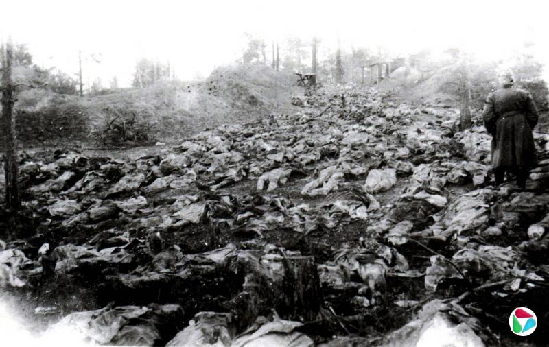 1943�꣬�ڿ�͢ɭ�ֵ�һ�����˿��н����ھ�����˹�����쵼����������ίԱ������Լ2.2��������ɱ���Ĳ���ս�������������ڴˡ�