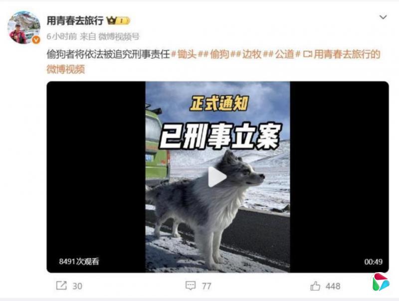 �������칷��͵����ɱ���������۹�ע ������������