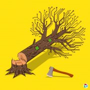 <b>���ۣ������ܱ�����֡�����ʱ�̡���</b>