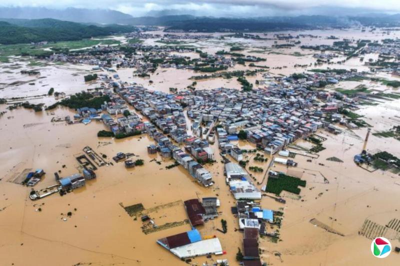 �������ݾ�����ҥ����ˮ���ºܶ�ʬ�塱
