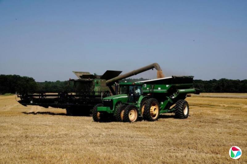 传中国购买两船美国小麦