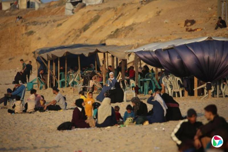 以哈冲突死亡人数近7万 停火后仍有数百人伤亡