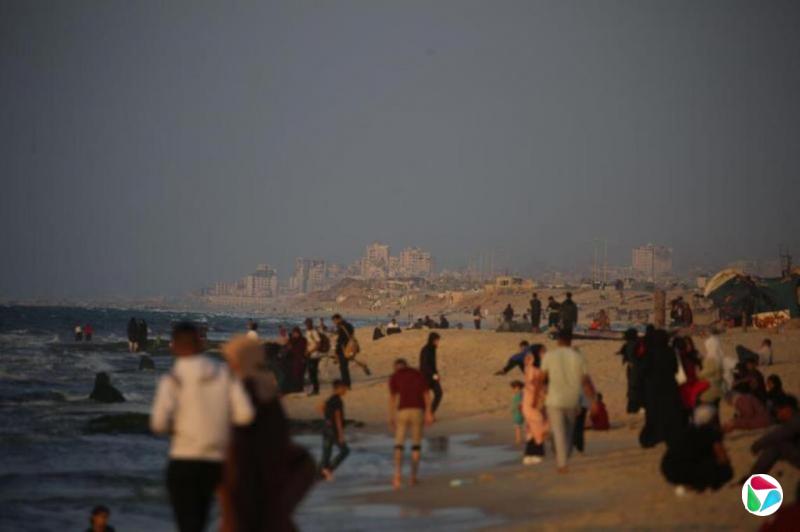 哈马斯:受困拉法武装人员不会投降