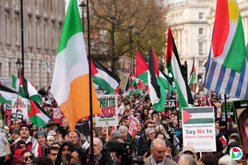 “声援巴勒斯坦人民国际日” 国际社会表态支持