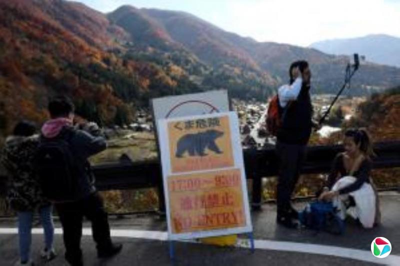 印度北方邦狼袭酿九死 当局用无人机追踪狼群