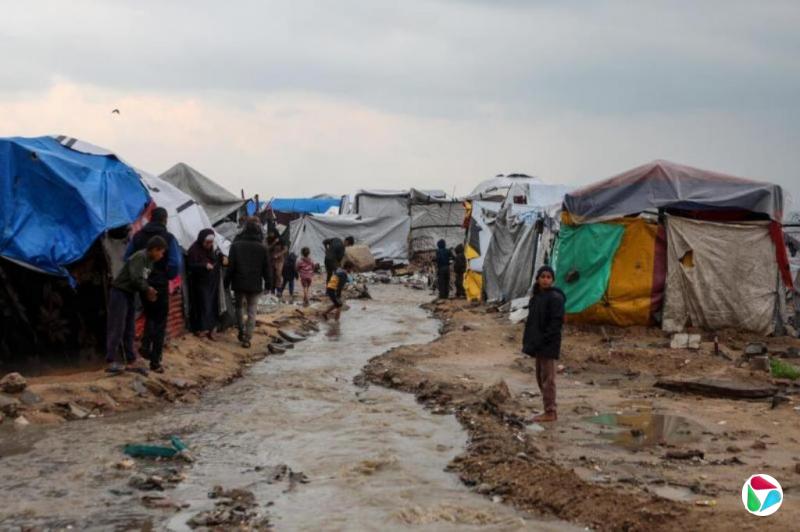 美官员:国际稳定部队最早明年1月部署加沙