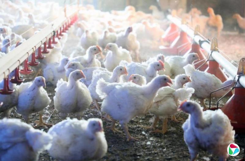 �ձ�������һũ��ȷ�ϸ��²�������������