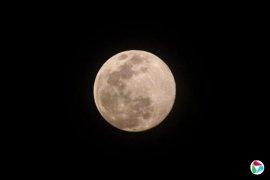 ����˹�ƻ�ʮ������������˵�վ