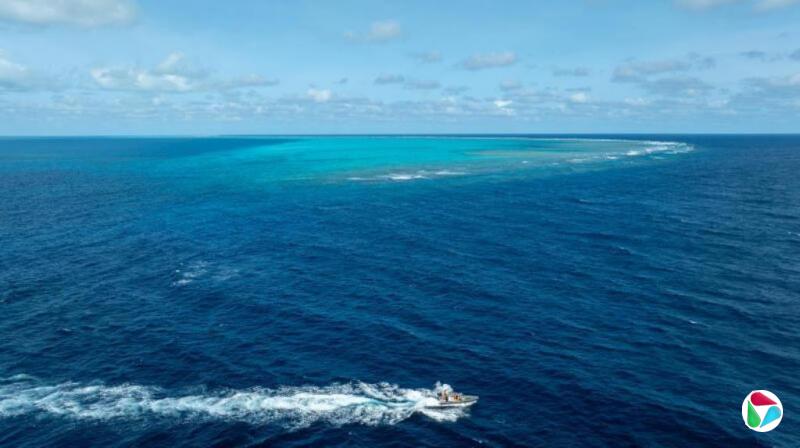 �й�������ָ���ɱ��ľ��»�ƻ����ҵ�ɺ����