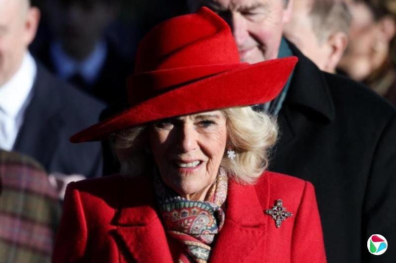 卡米拉王后称青少年时期曾遭到陌生男子袭击