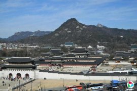 ������Ӧ����Ҫ�� ��ŵ�������˻����볯