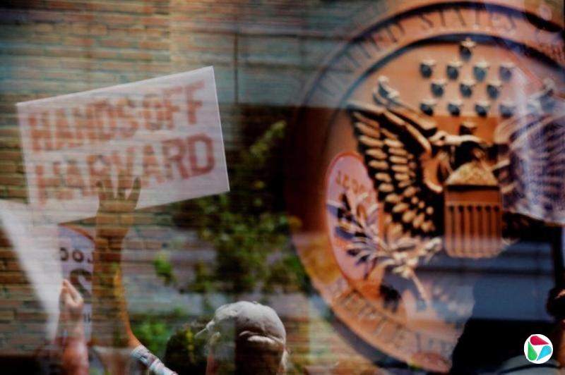 ���������Թ����������� Ҫ���ṩ��������