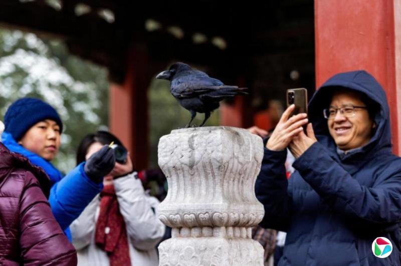 故宫周边今年启动申请式退租