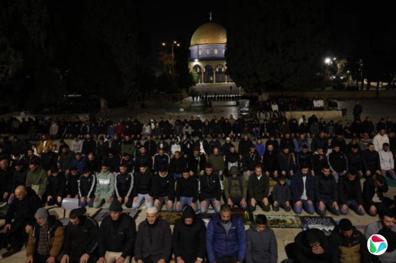 ��ɫ��ի��ÿ������������˹̹�˸��������ؽ������