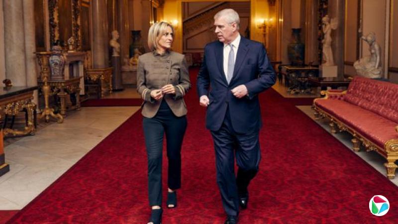 ����³��������